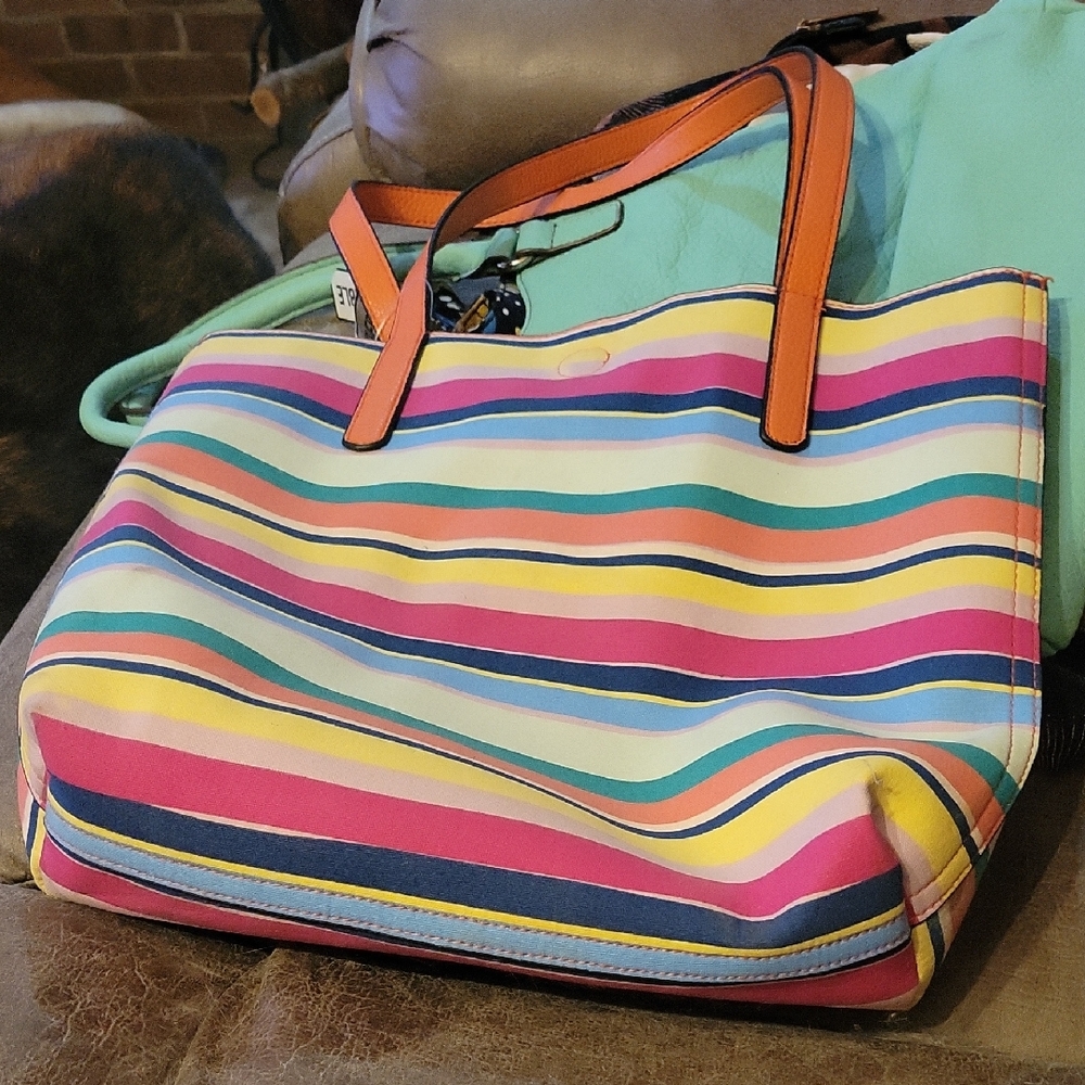Vibrant Multicolor Striped Tote Bag